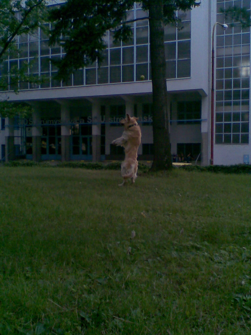 Foto015.jpg