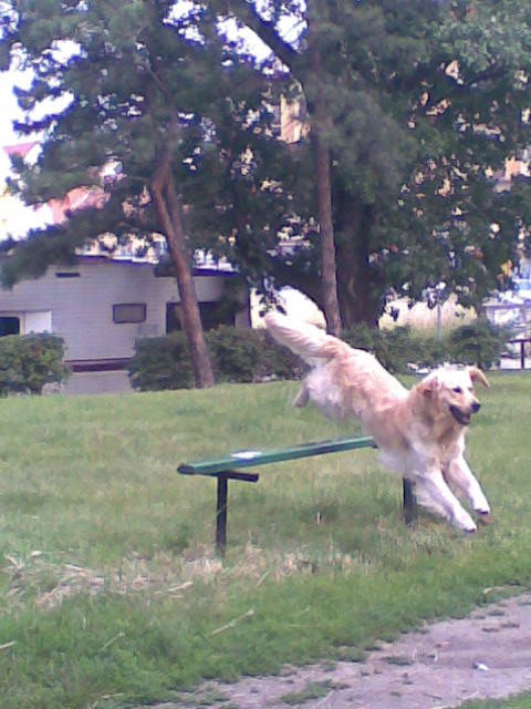 Foto017.jpg