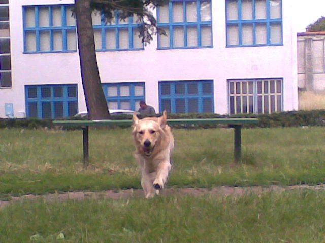 Foto018.jpg