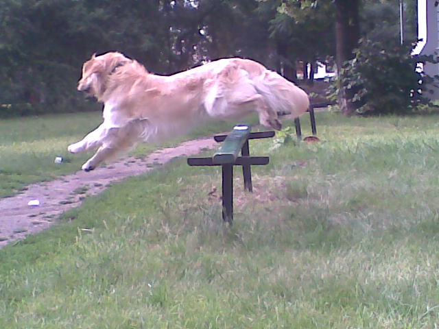 Foto022.jpg